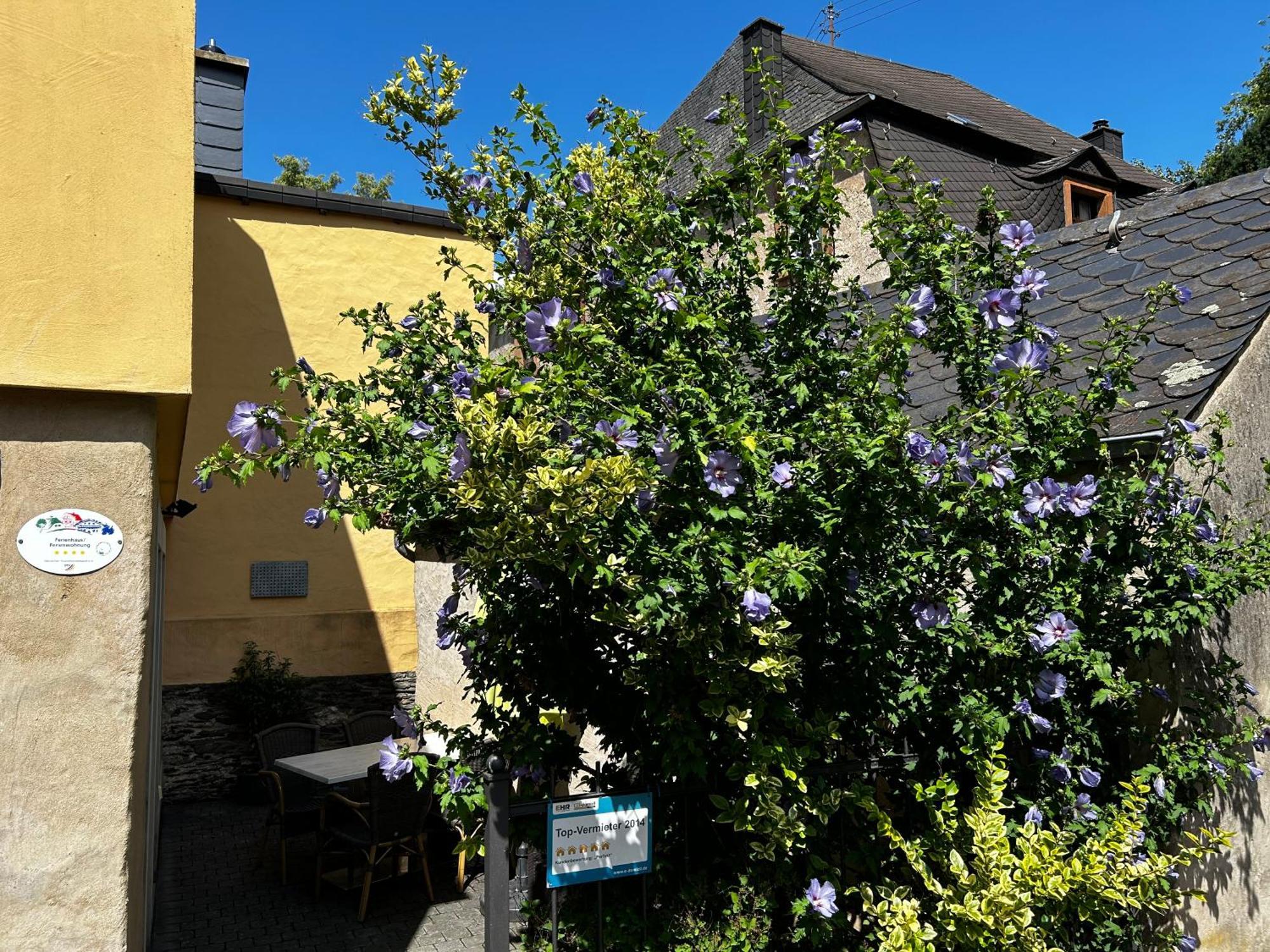 Ferienhaus Ausonius Neumagen-Dhron Kültér fotó